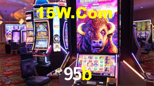 95b.com