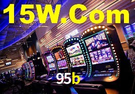 95b.com